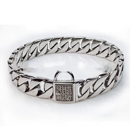 Chic Stainless Steel Dog Collar & Leash