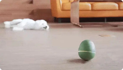 Egg-Shaped Interactive Treat Dispenser for Pets