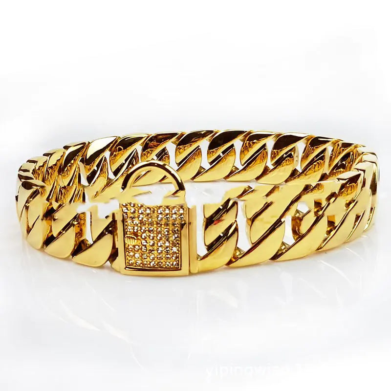 Chic Stainless Steel Dog Collar & Leash