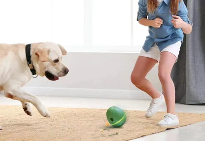 Egg-Shaped Interactive Treat Dispenser for Pets