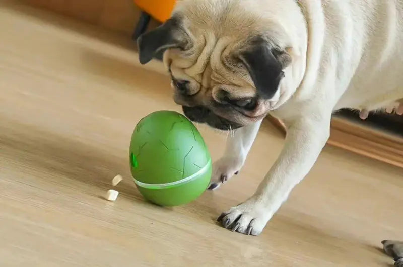 Egg-Shaped Interactive Treat Dispenser for Pets