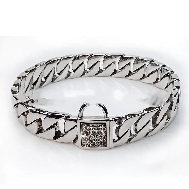 Chic Stainless Steel Dog Collar & Leash