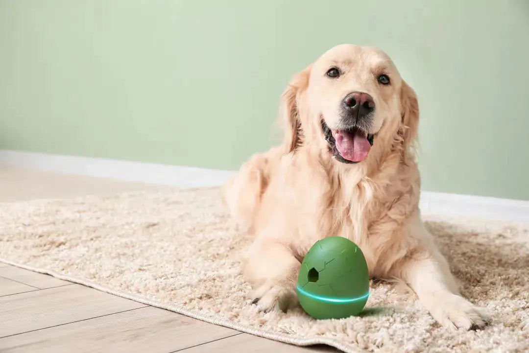 Egg-Shaped Interactive Treat Dispenser for Pets