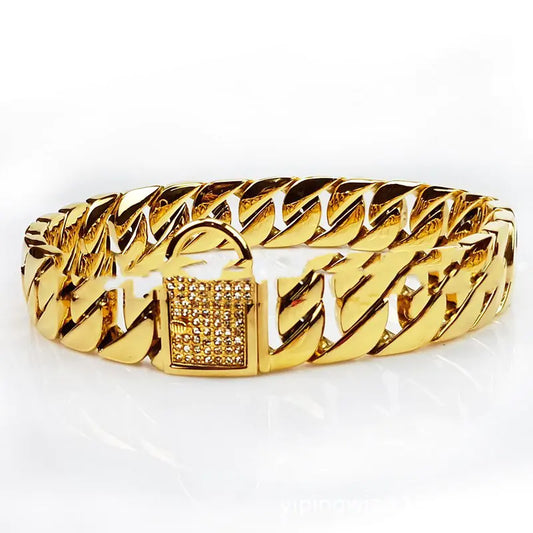 Chic Stainless Steel Dog Collar & Leash